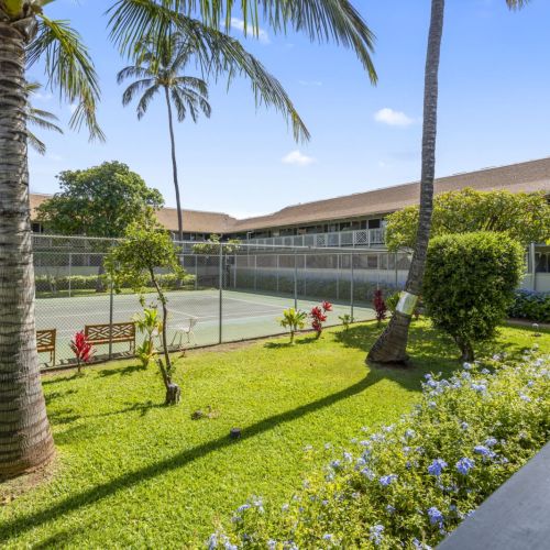 Public tennis courts(racquets not included)