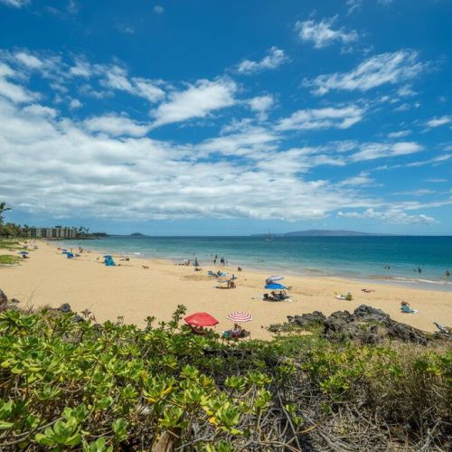 Cross the street and end up at Kamaole II Beach Park
