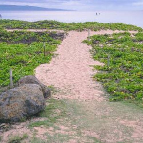 Path down to our beautiful Kamaole Beaches for a perfect beach day