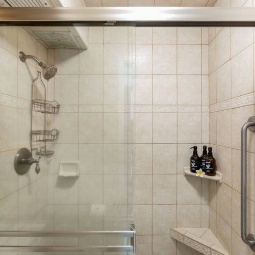 Walk in shower with ADA handle