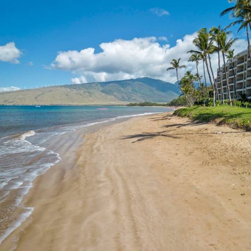 Enjoy long walks on the beach? Us too...