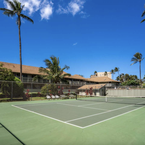 Tennis Courts at this complex