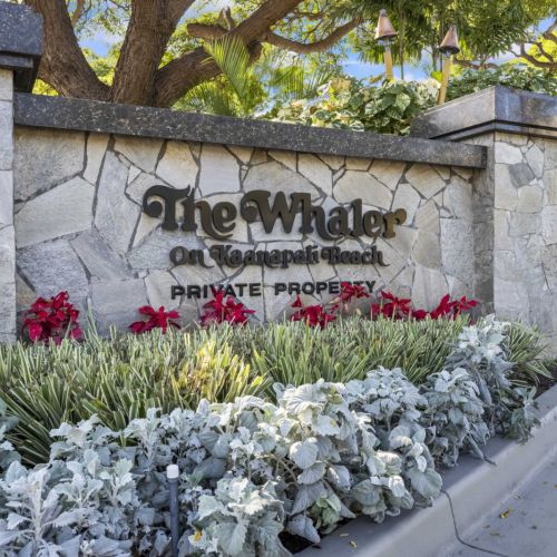 The Whaler, enough said.