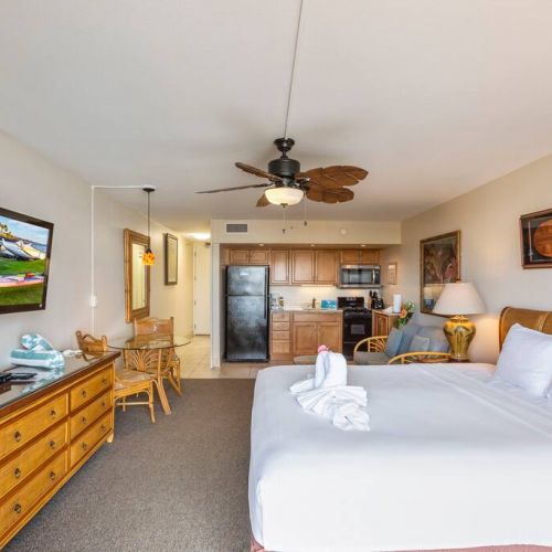 Open studio floorpan with plenty space and seating.