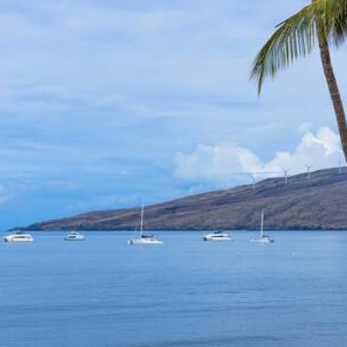 Admire sailboats, west maui mountains, and season whale watching.