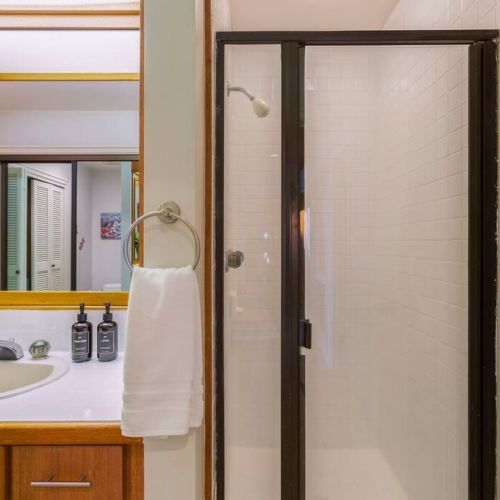 Guest full bathroom with walk in shower