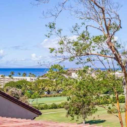 Welcome to Kaanapali Royal Q302