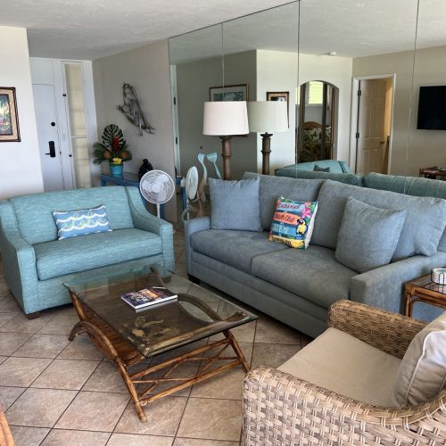 Living room with new sofa sleeper