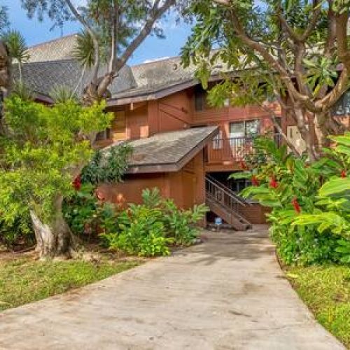 Lush tropical grounds