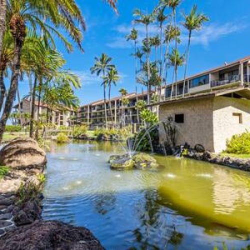 Lush tropical grounds with Koi ponds.